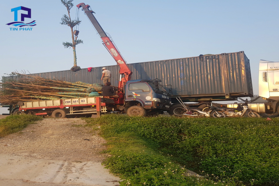 Dịch vụ nâng hạ thường được áp dụng để xử lý các kiện hàng nặng và cồng kềnh