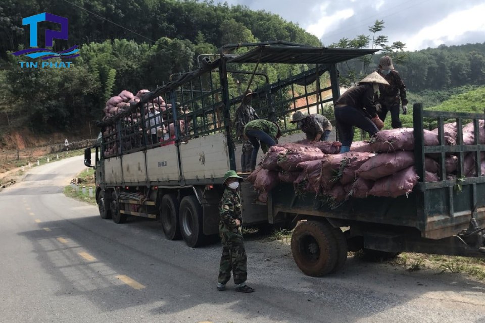 Dịch vụ cho thuê xe Cần Thơ của chúng tôi chuyên vận chuyển đa dạng các loại hàng hoá khác nhau