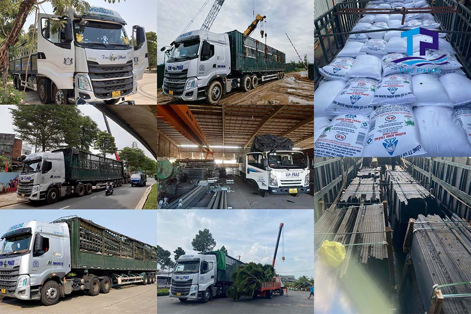 Nhà xe Đồng Nai đi Hải Phòng sở hữu đội xe đa dạng, đáp ứng mọi nhu cầu vận chuyển