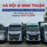 hà nội đi ninh thuận