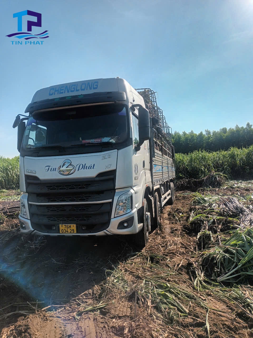 Vận Tải Tín Phát áp dụng quy trình vận chuyển chuẩn hóa, đảm bảo an toàn, nhanh chóng.