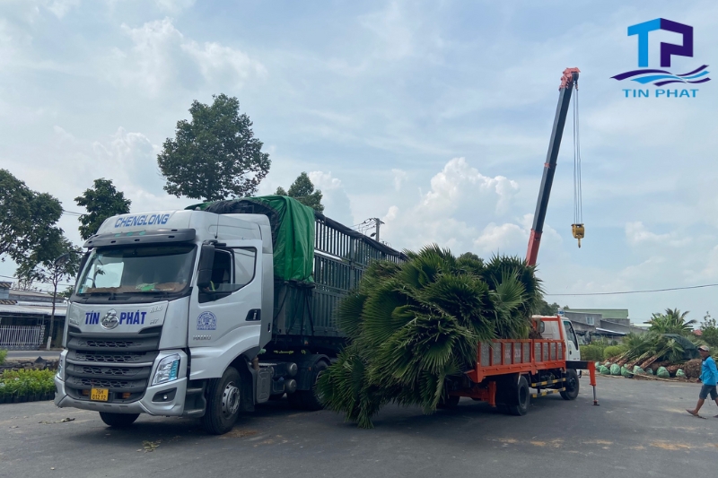 Các hình thức vận chuyển của chành xe đi Lào Cai Các hình thức vận chuyển của chành xe đi Lào Cai